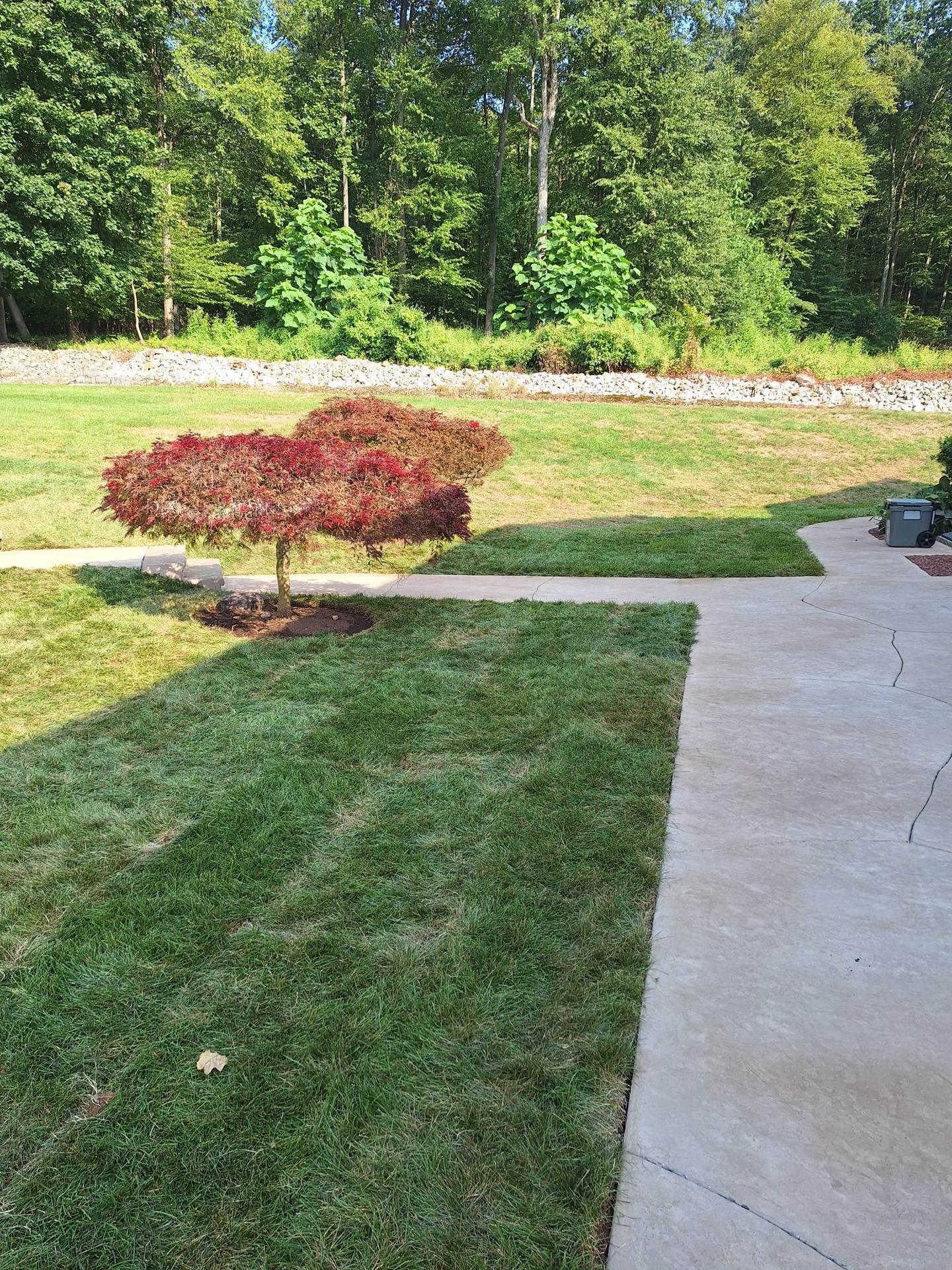 Lake Forest Construction Concrete project